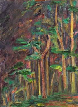 Вечер в Паланге. Сосны. 2005

